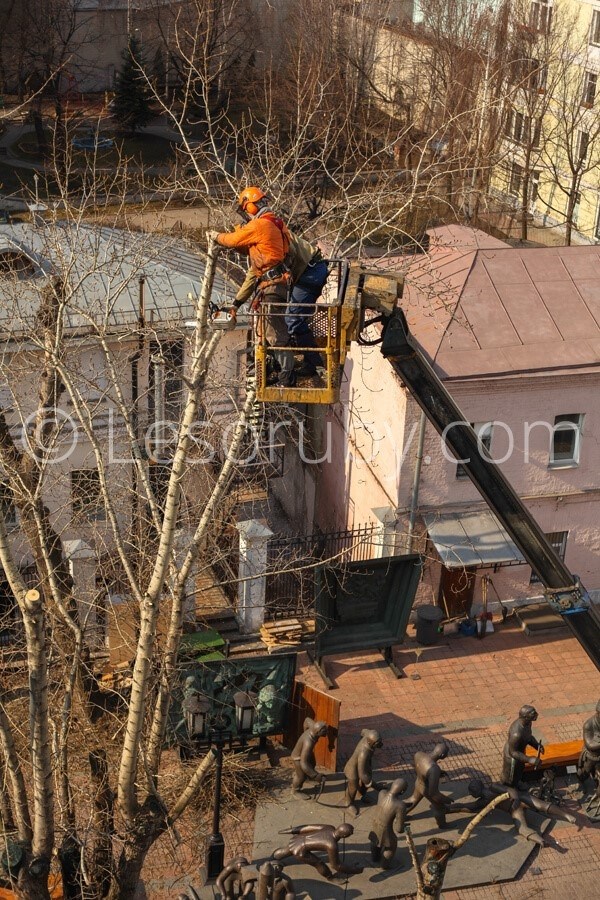 Обрезка высоких деревьев возле автовышек