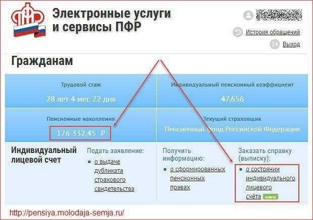 Единый номер пенсионного фонда как узнать и что он означает