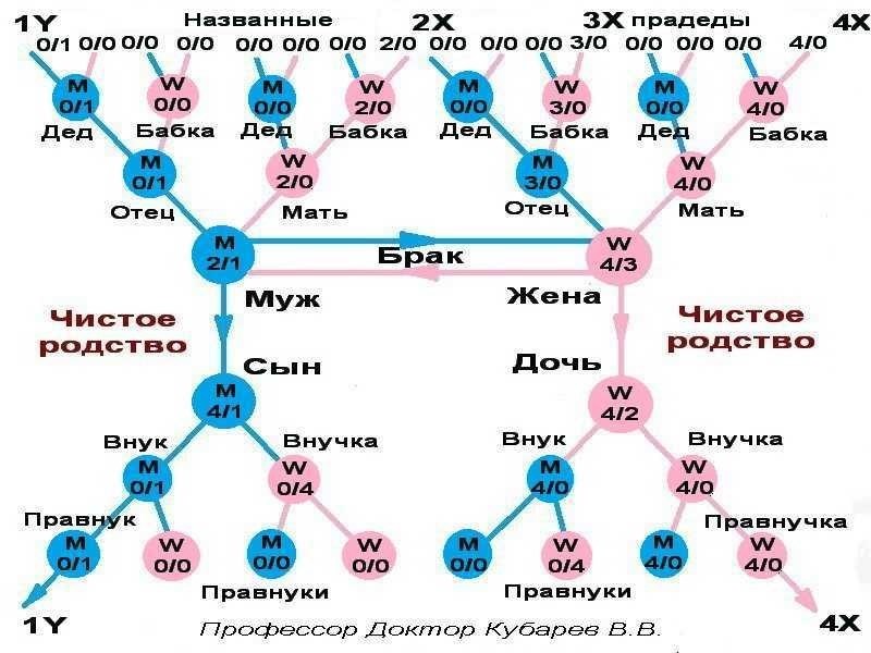 Кто такой кузен по родству объяснение и родственные отношения