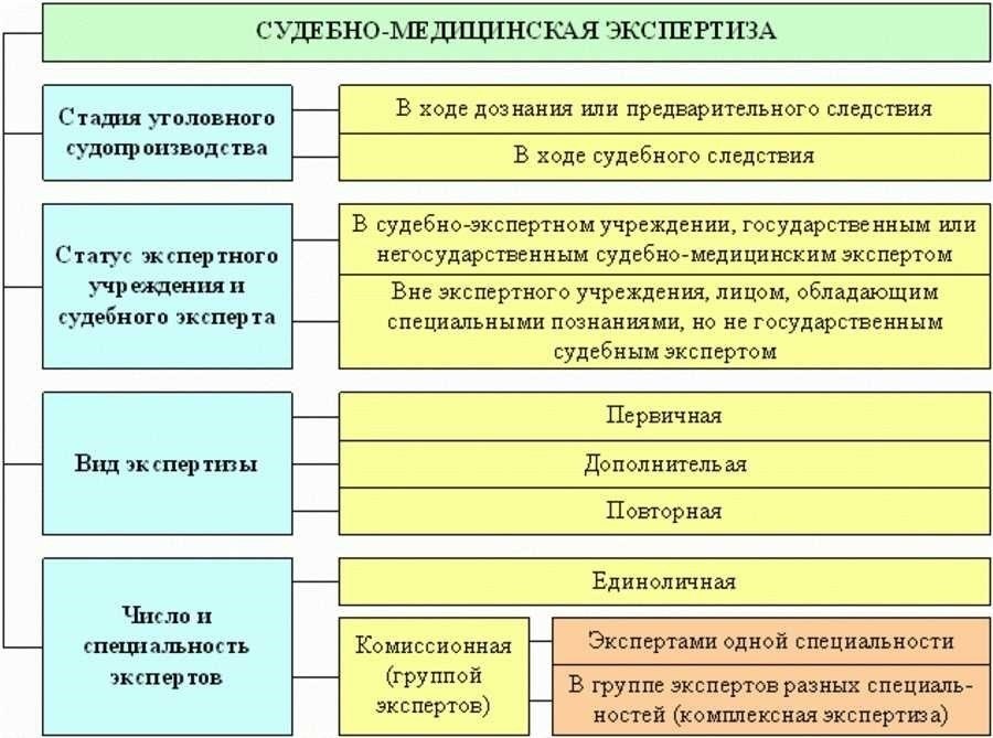 Виды экспертиз в уголовном процессе полный перечень и объяснение